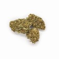 Kwiaty konopi CBD "HAWAI HAZE"