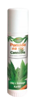 Pomadka do ust - BIONE - 5ml